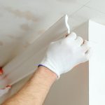 Ceiling Moulding in Knoxville, Tennessee